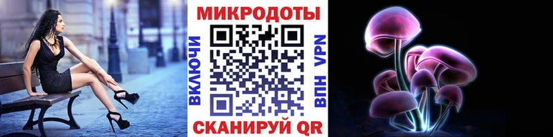 Купить закладки  Миллерово  Псилоцибиновые грибы Psilocybe 